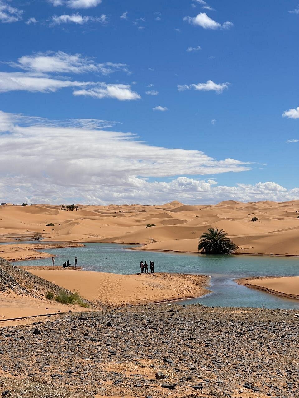 12-Day Journey from Casablanca